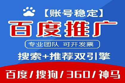 百度推广的广告投放策略案例